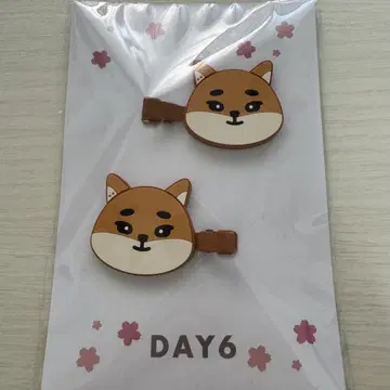day6 영케이 헤어 클립