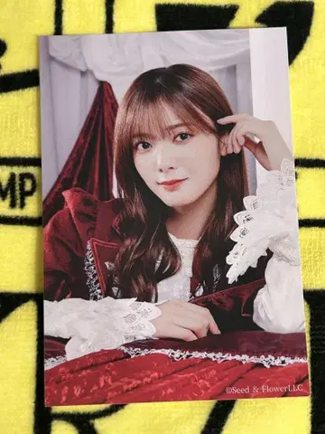 타무라 호노 스티커 한정품