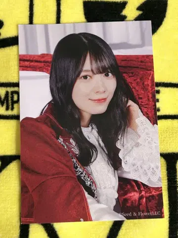 모리타 히카루 스티커 한정품