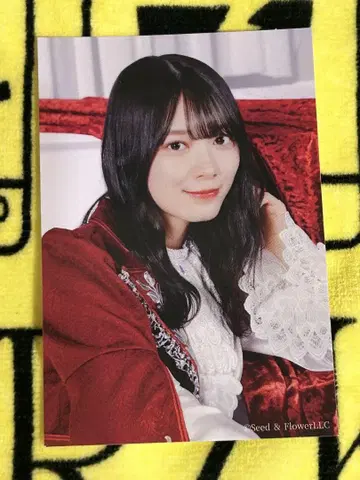 모리타 히카루 스티커 한정품