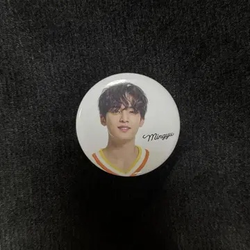 세븐틴 민규 캔뱃지 home
