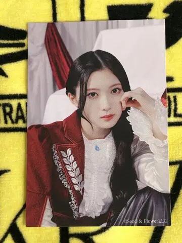 타니구치 아이리 스티커 한정품