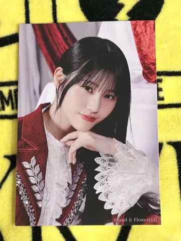 무카이 이토하 스티커 한정품