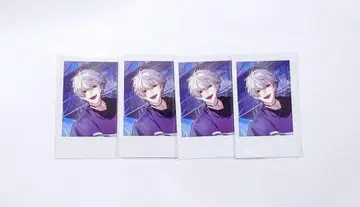 니지산지 SitR 요코하마 폴라로이드 쿠츠하