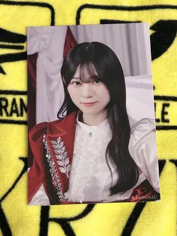 야마시타 시즈키 스티커 한정품