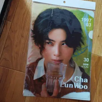 차은우 클리어 파일