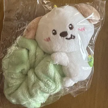 앤톤 스크런치
