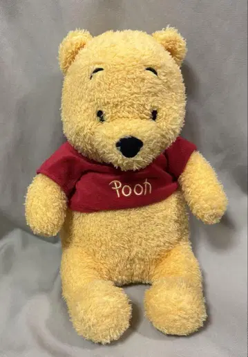 TDR 빅 사이즈 30cm 정도 곰돌이 푸 봉제 인형 도쿄 디즈니 리조트
