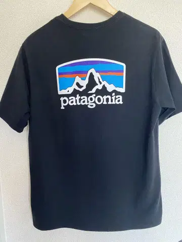 Patagonia 피츠로이 호라이즌스 레스폰시빌리티 M 블랙