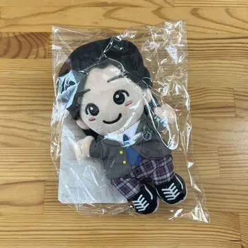 미치에다 슌스케 치비누이 카네다 이치 소년 사건부