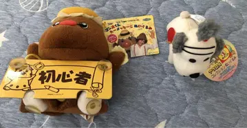 곤타 군 초심자 봉제 인형과 아프로 개