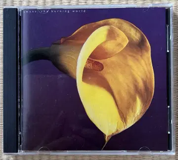Swans 8번째 CD