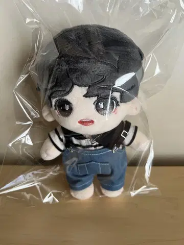 KPOP 봉제 인형 20cm 의류도 세트!