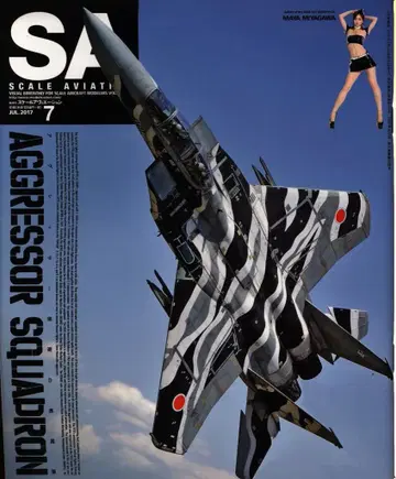대일본 회화 SCALE AVIATION 116