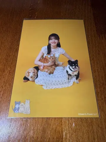히나타자카46 사사키 미레이 과거 의상 시크릿 단체