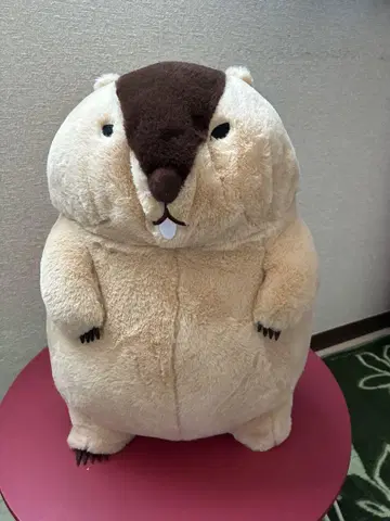 귀여운 봉제 인형