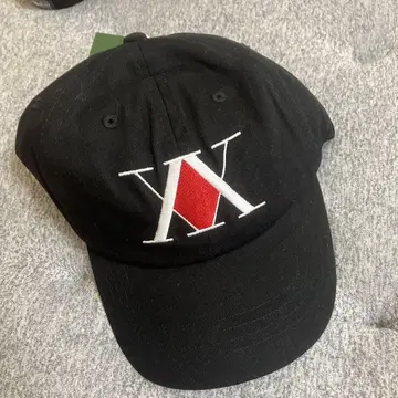 HUNTER x HUNTER 캡 택 포함 새상품