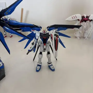 RG 프리덤 건담 소조