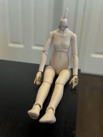 MDD 세미 화이트
