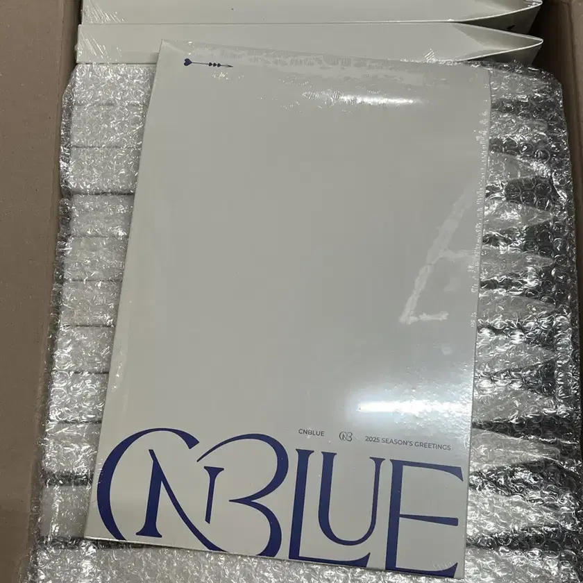 CNBLUE 2025年SEASON'S GREETINGS 新品未開封 CNBLUE – 2025 SEASON'S GREETINGS - K-Pop Time