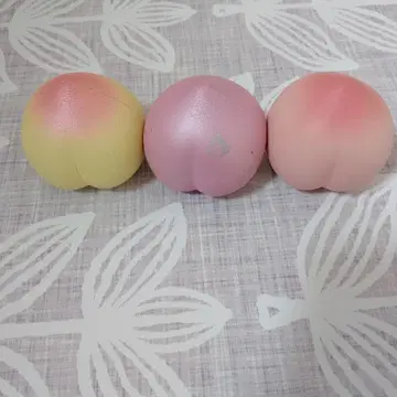스퀴즈