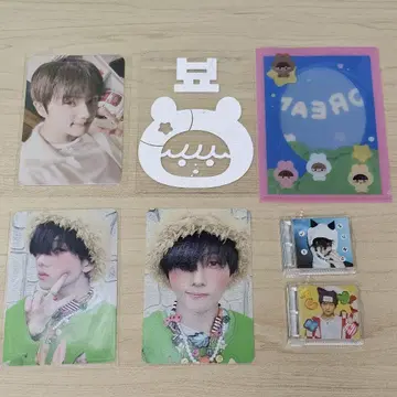 nctdream 치송 스티커 다님 트레이딩 카드 smini