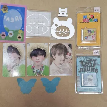 nctdream 치송 스티커 다님 트레이딩 카드 smini