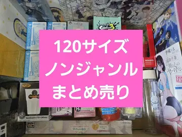 애니메이션 굿즈 등 120 사이즈 장르 무관 대량 묶음 판매 약 290점
