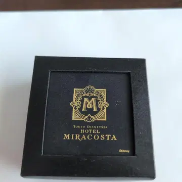 디즈니 미라코스타 만화경