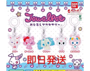 쥬얼펫 메지루시 액세서리 Jewl Pet 컴플리트