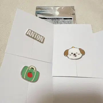 riize riizing loud 랜덤 커스텀 참 앤톤 컴프