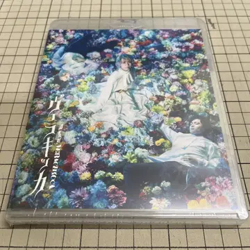 뮤지컬 베라키카 일반 버전 Blu-ray TRUMP 시리즈