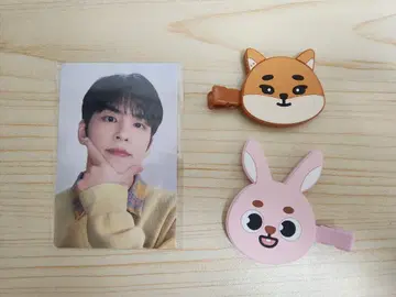 DAY6 헤어 클립 원필 영케이 세트