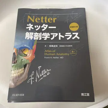 Netter 해부학 아틀라스 원서 제6판/F.H. Netter