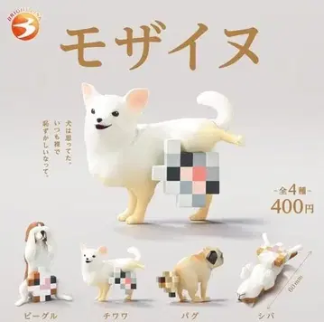 모자이누 전 4종 가챠