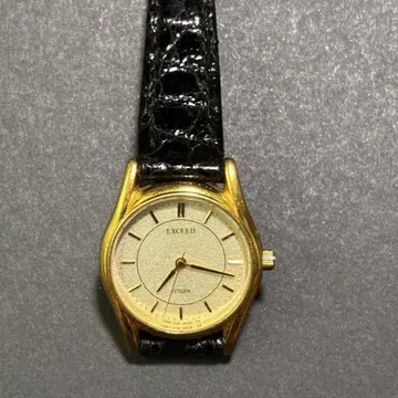 CITIZEN 엑시드