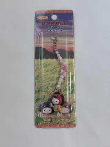 지역 한정 키티 아키타 한정 나마하게 빨간색