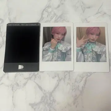 팬더 드래곤 파라곤 타이 가 히파카 폴라로이드