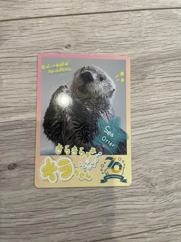 도바 수족관 컬렉션 카드 키라 랏코