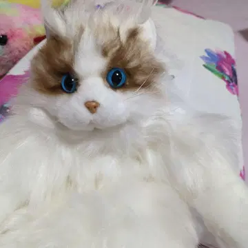 고양이 봉제 인형 백팩