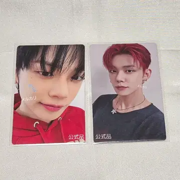 영준 트레이딩 카드