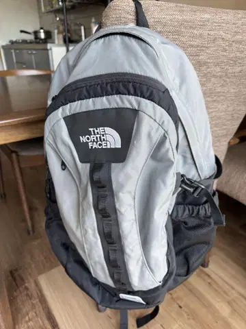 THE NORTH FACE 그레이 백팩 중형