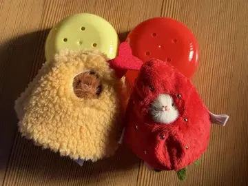 쥐 봉제 인형 및 의상 컬렉션 세트