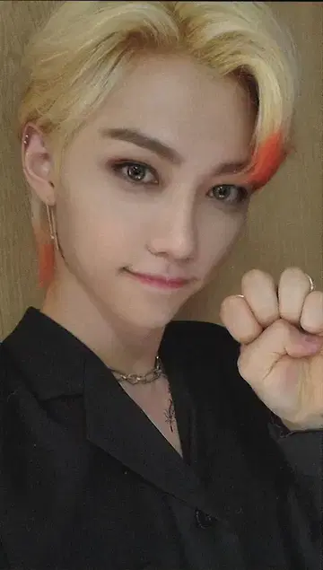 Stray Kids FELIX SCARS 트레이딩 카드 C