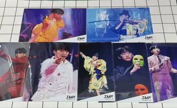 기슌스케 IMPACT 7매 세트