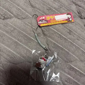 지역 키티 사도 니가타 2003