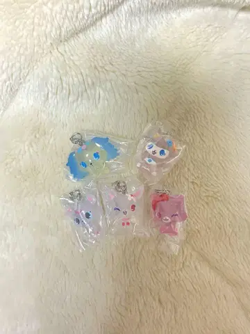 쥬얼펫 메지루시 액세서리