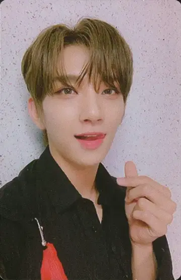 SEVENTEEN Real JOSHUA An Ode 블랙