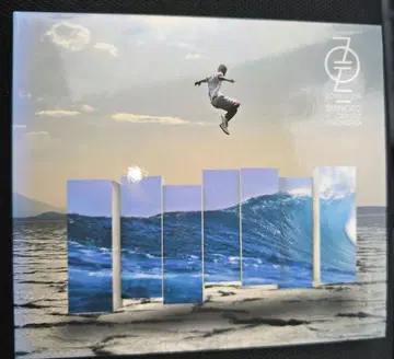 Shing02 cradle orchestra zone of zen CD