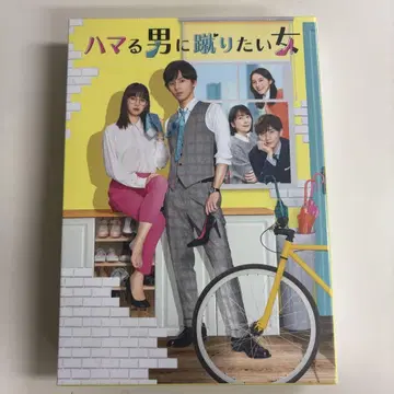 후지가야 타이스케 주연 빠져드는 남자, 걷어차고 싶은 여자 DVD